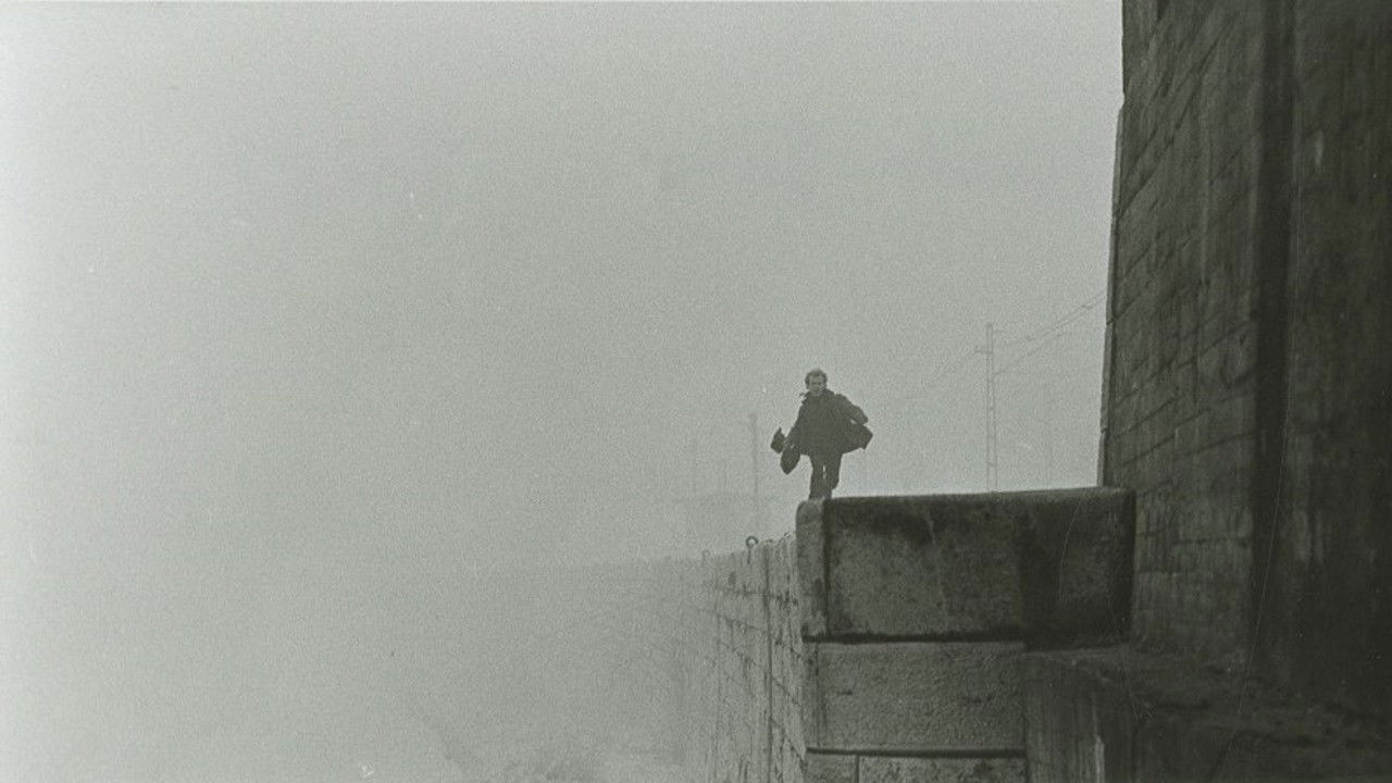 Shadow on the Snow backdrop cover