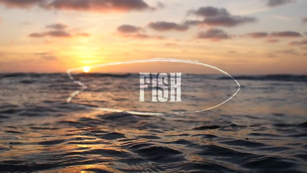 Fish: The Surfboard Documentary