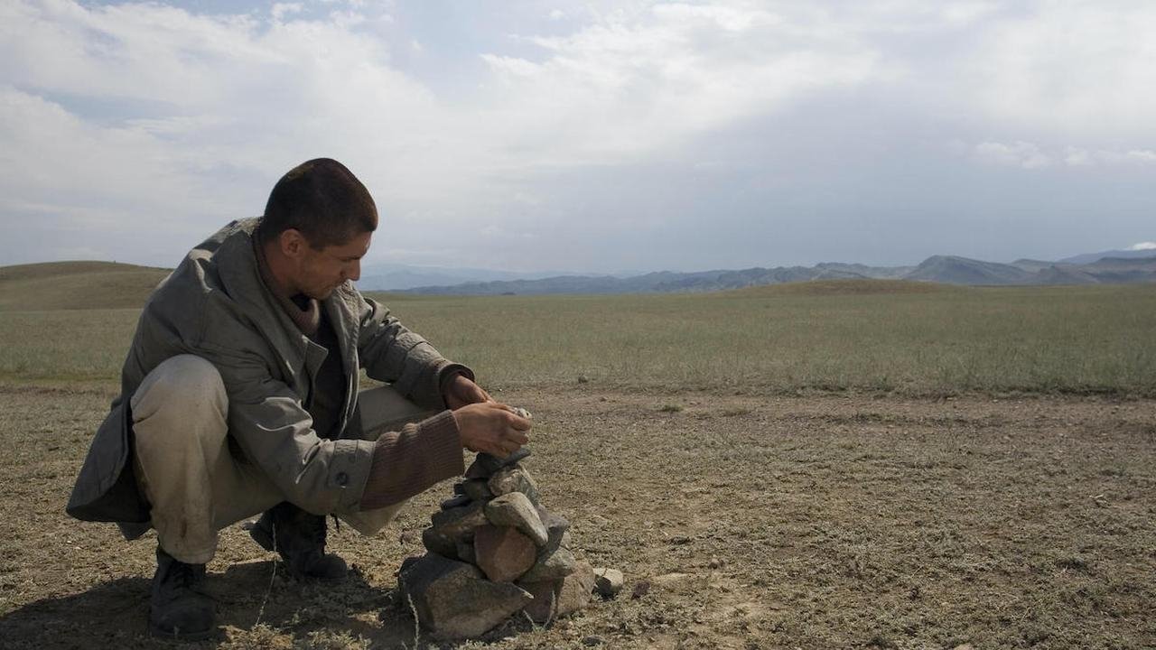 Wild Field (2008)