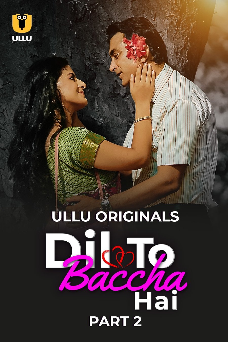 Dil To Baccha Hai - Season 2