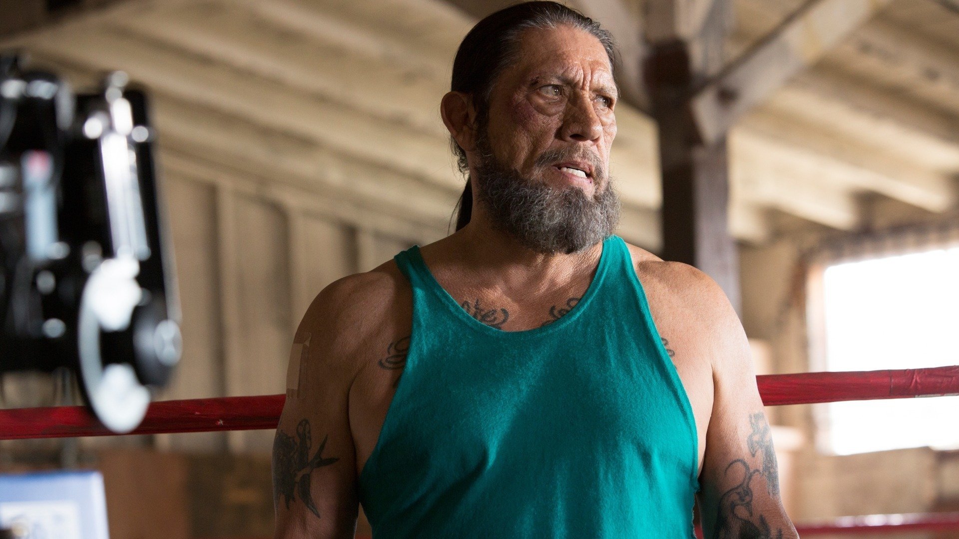 Bad Ass 2: Bad Asses (2014)