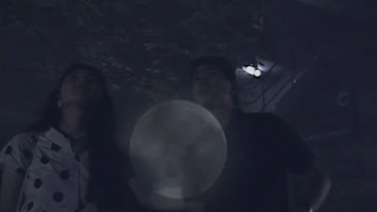 Daikanyama Wonderland Horror