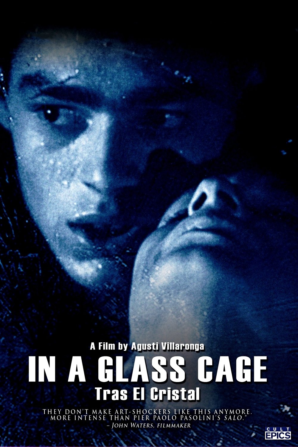 In a Glass Cage