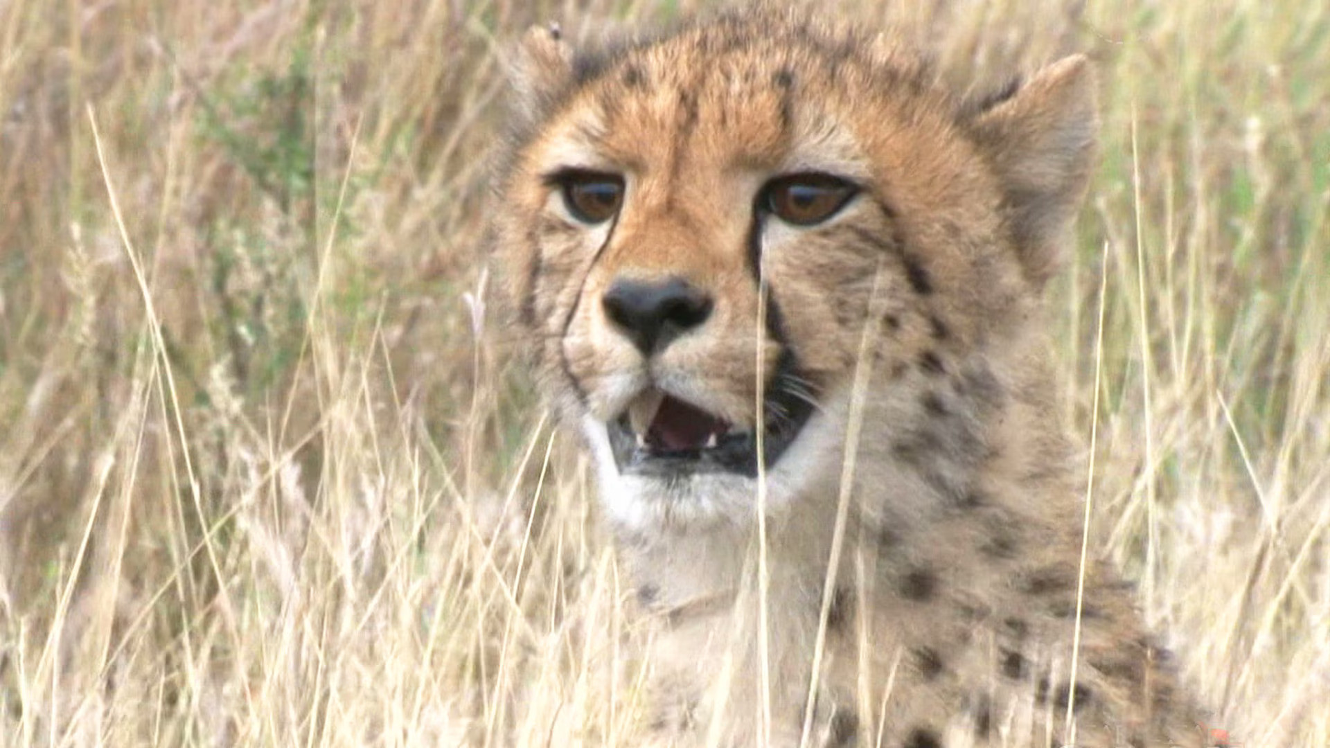 Earth Odyssey with Dylan Dreyer S06E23 backdrop