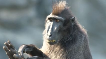 Expédition Pairi Daiza - Épisode 1