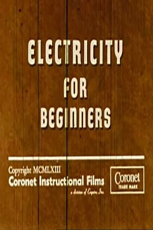 Poster for Electricity for Beginners