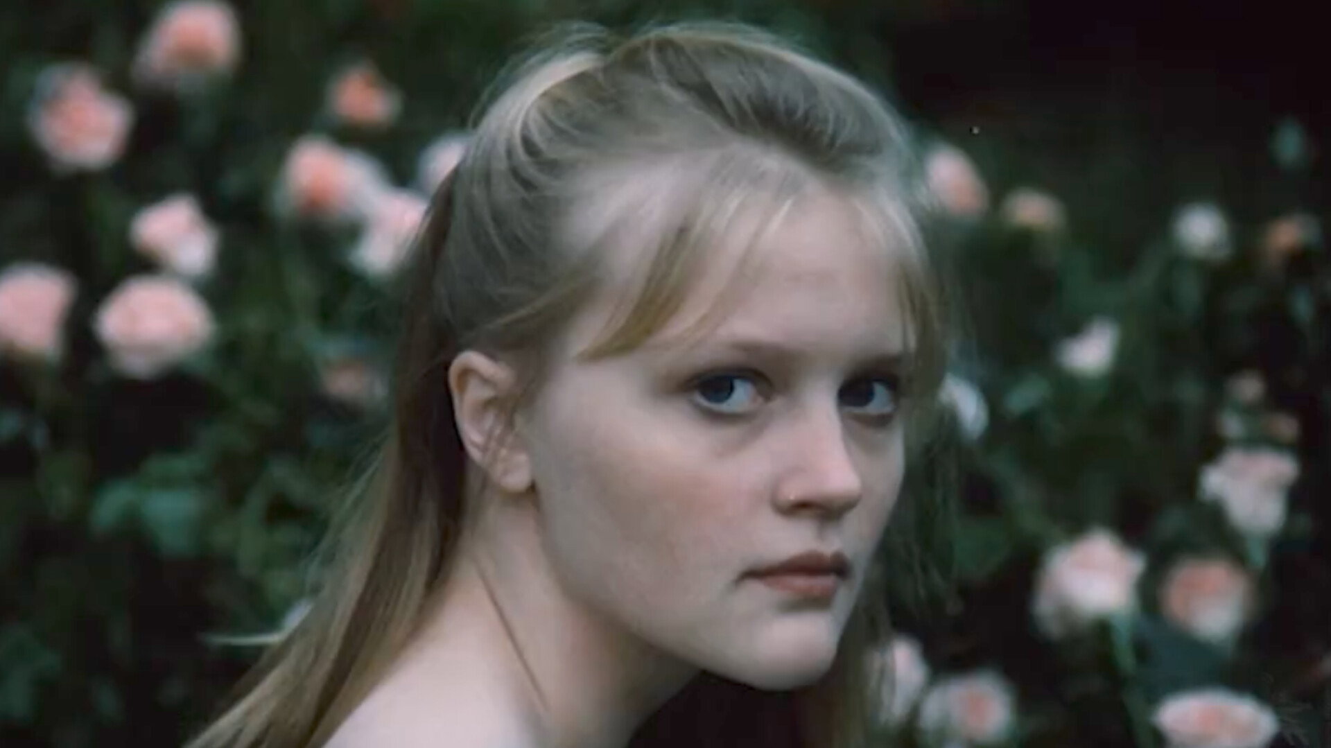 The Garden of Desires