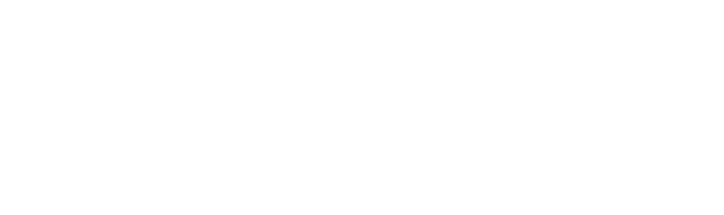 The Ashley Madison Affair Logo