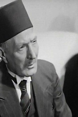 et billede af Abdel Meguid Shukry