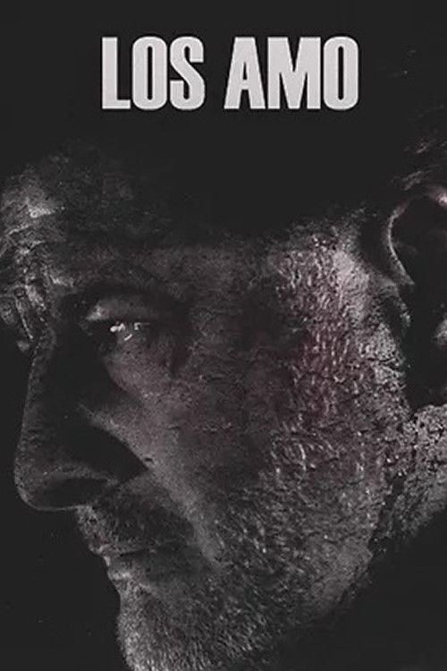 Los amo Poster
