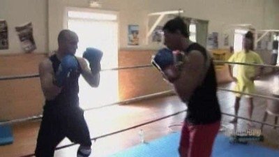 Fight Quest