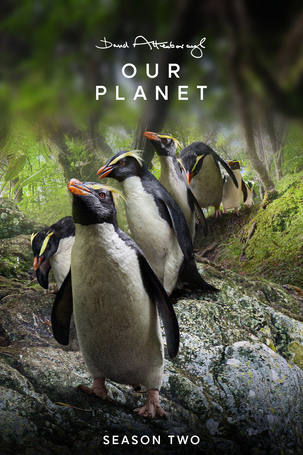 Our Planet - Season 2