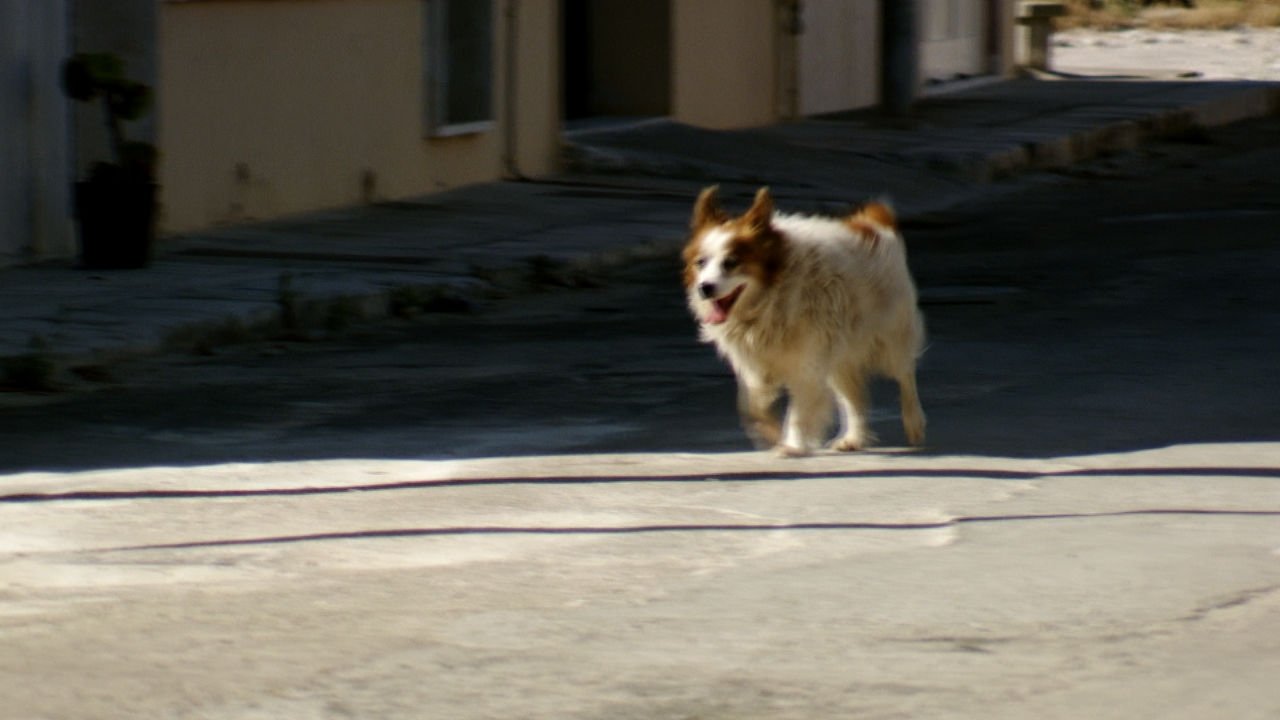 Thumbnail for Miles To Go Season 1 Episode 5