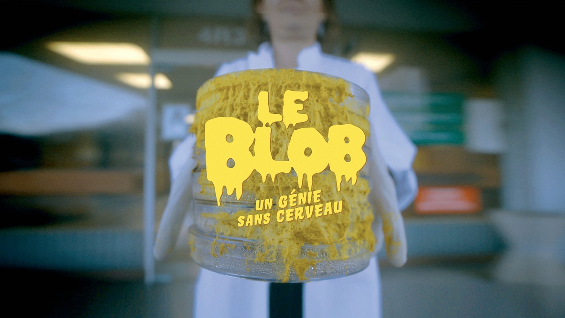 The Blob: A Genius without a Brain
