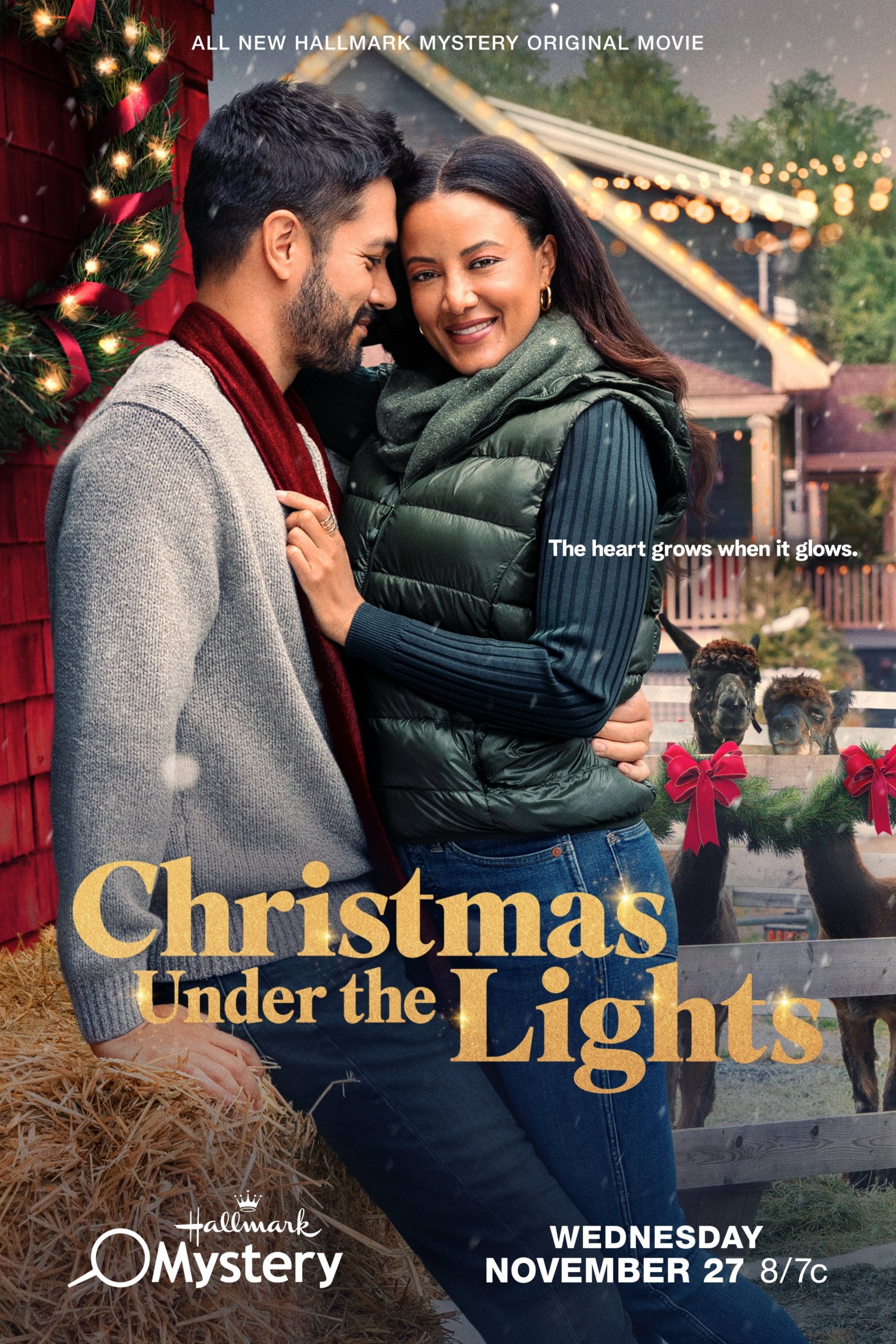 Christmas Under the Lights