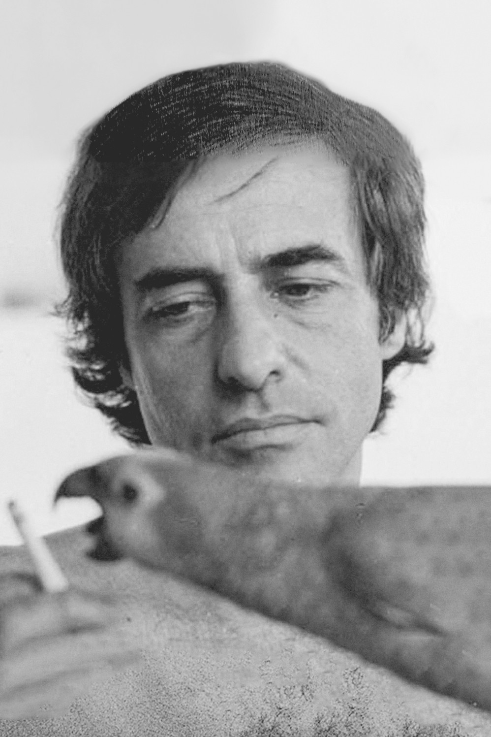 et billede af Joaquim Pedro de Andrade