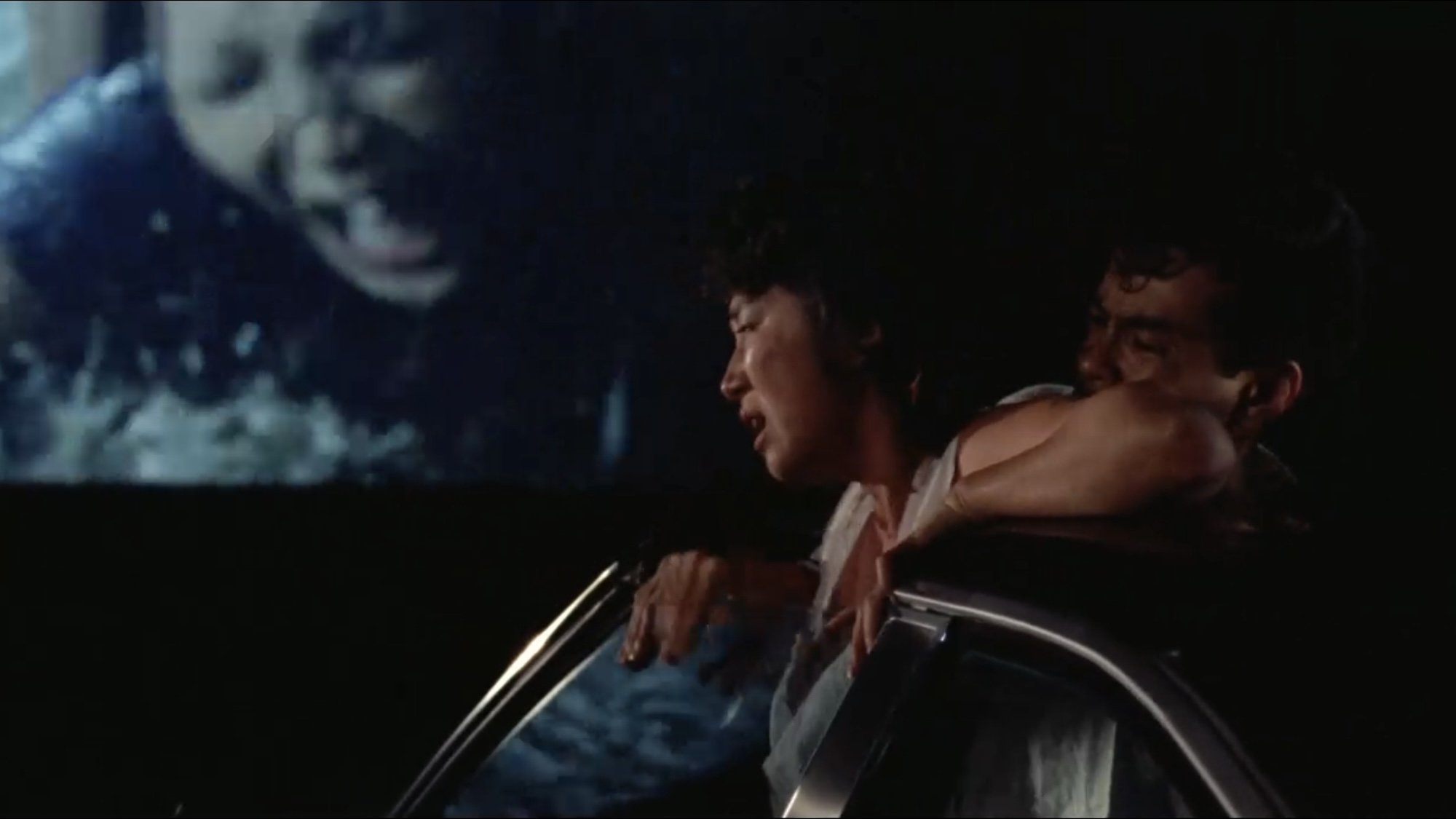 Elder Sister's Diary (1984)