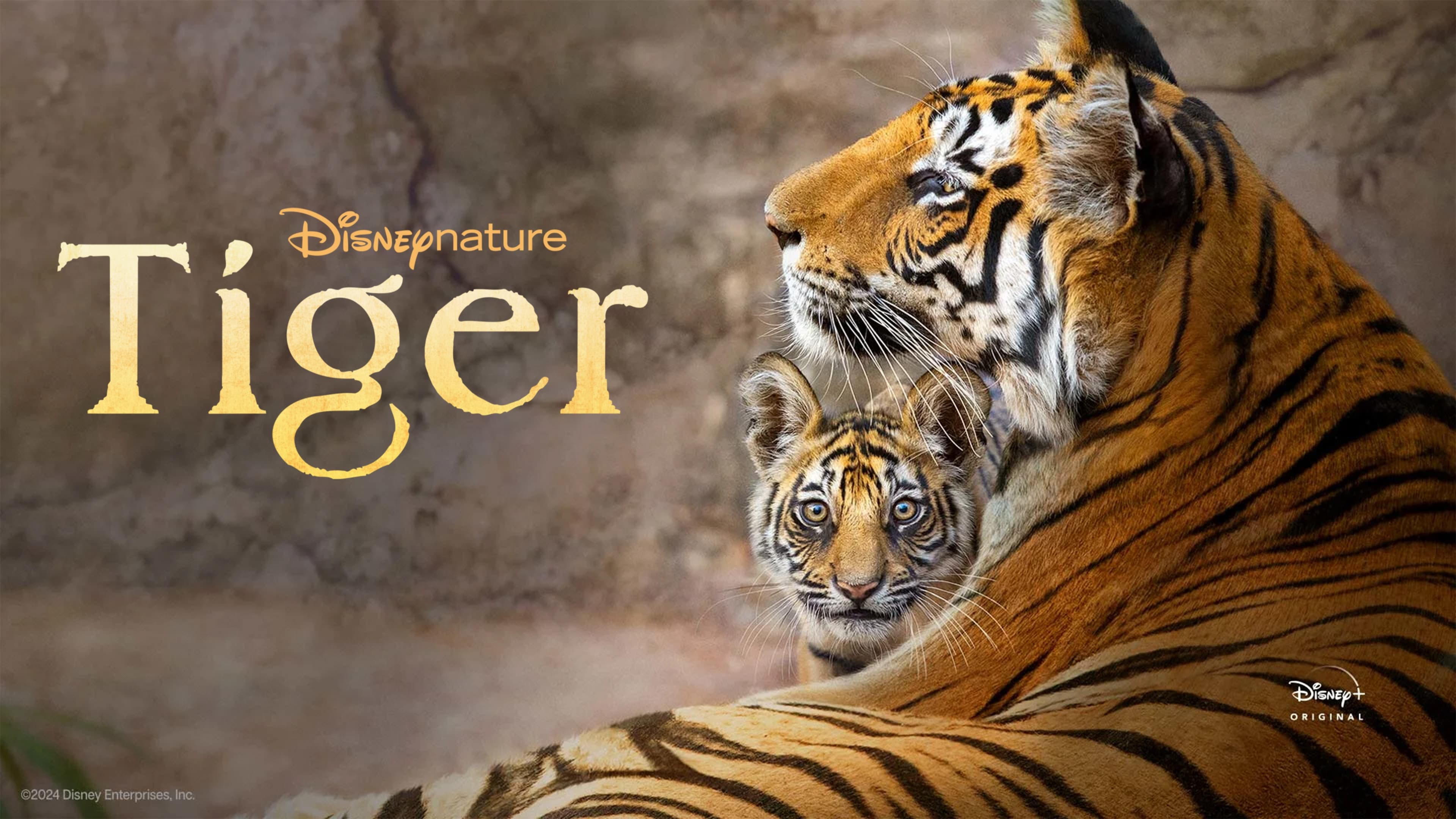 Tiger (2024)