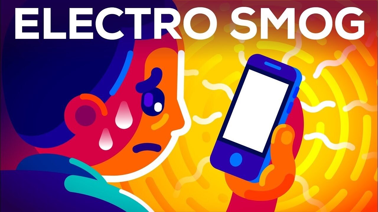 Kurzgesagt - In a Nutshell