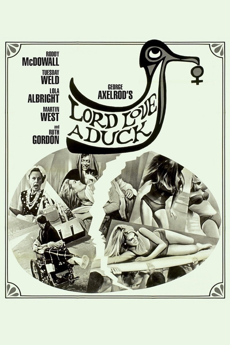 Lord Love a Duck