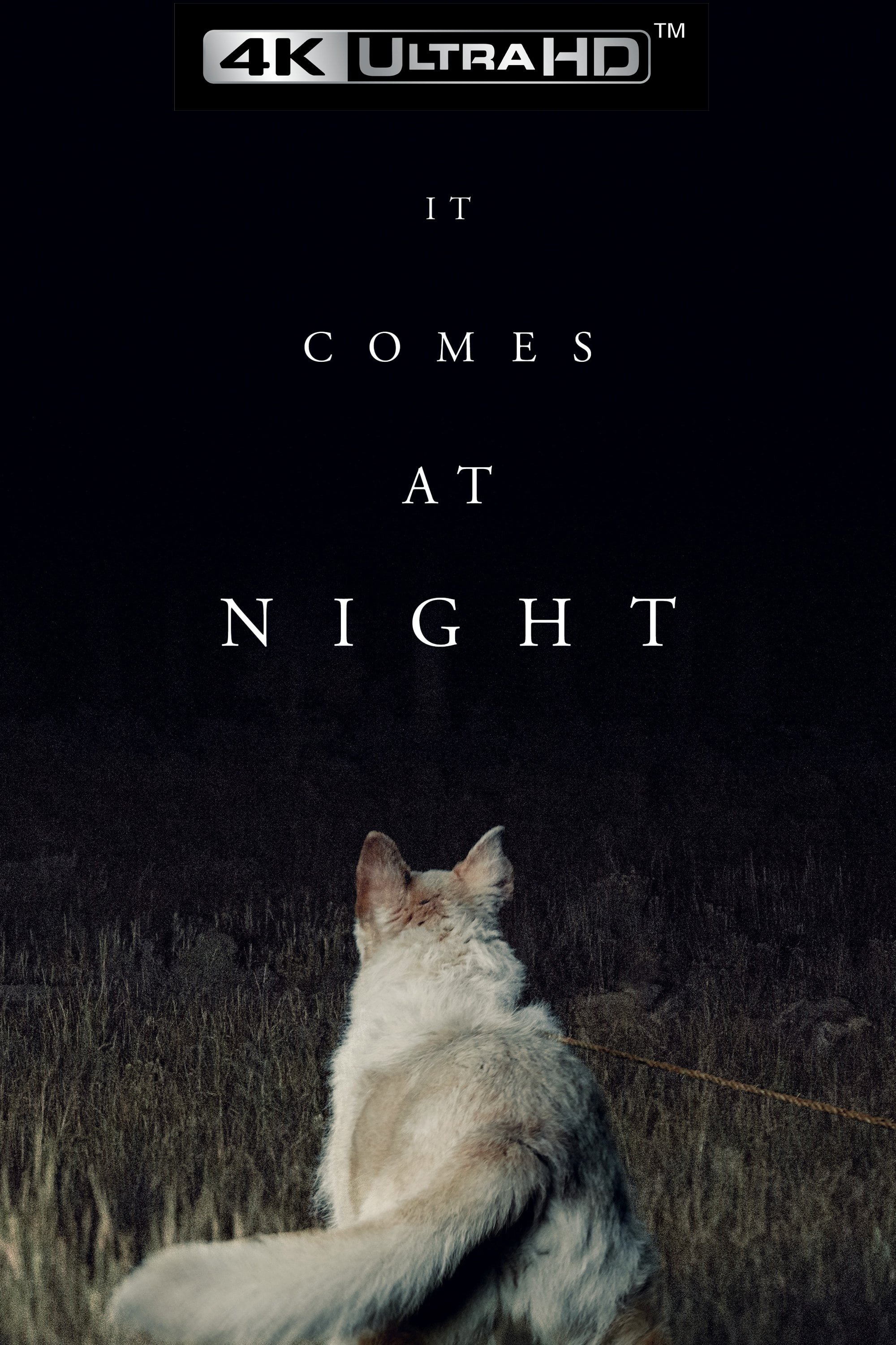 It Comes at Night