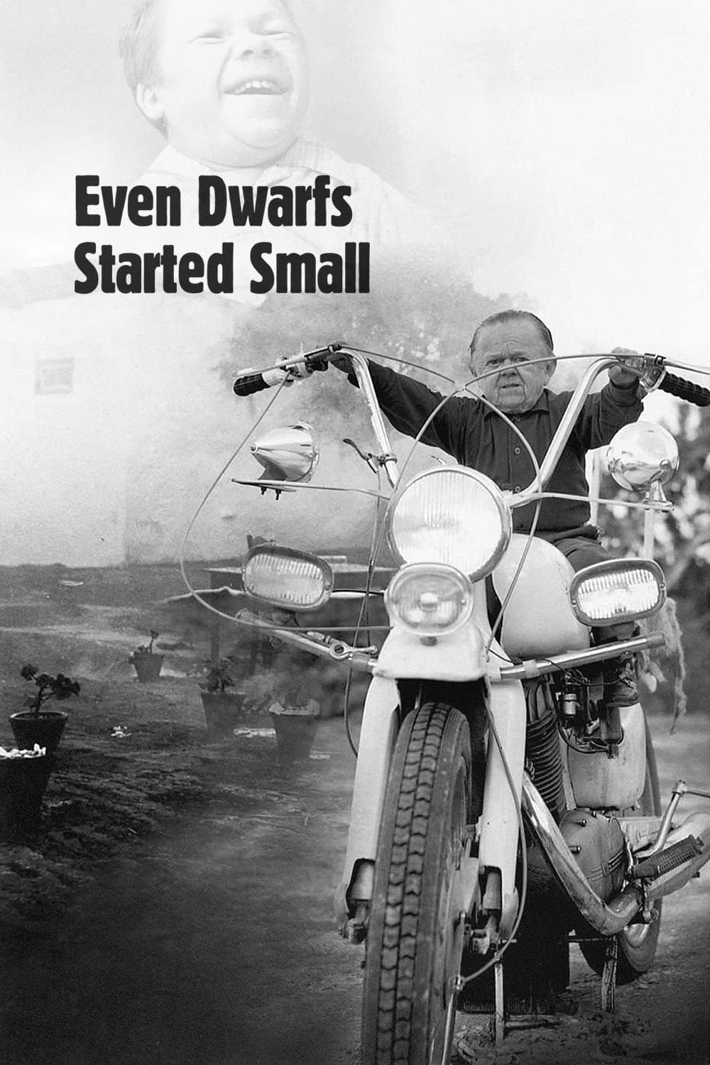 Even Dwarfs Started Small