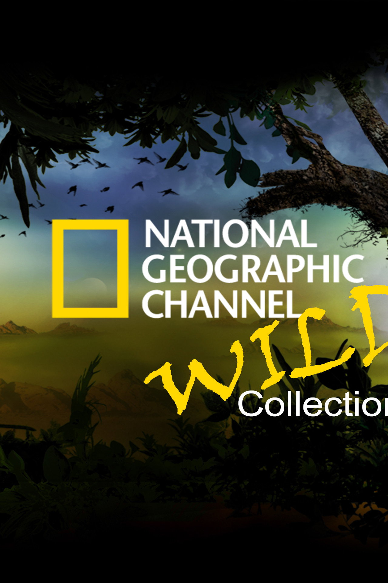 National Geographic Channel: Wild Poster