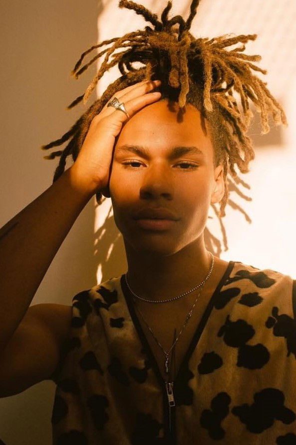 et billede af Drake Jazz Brown