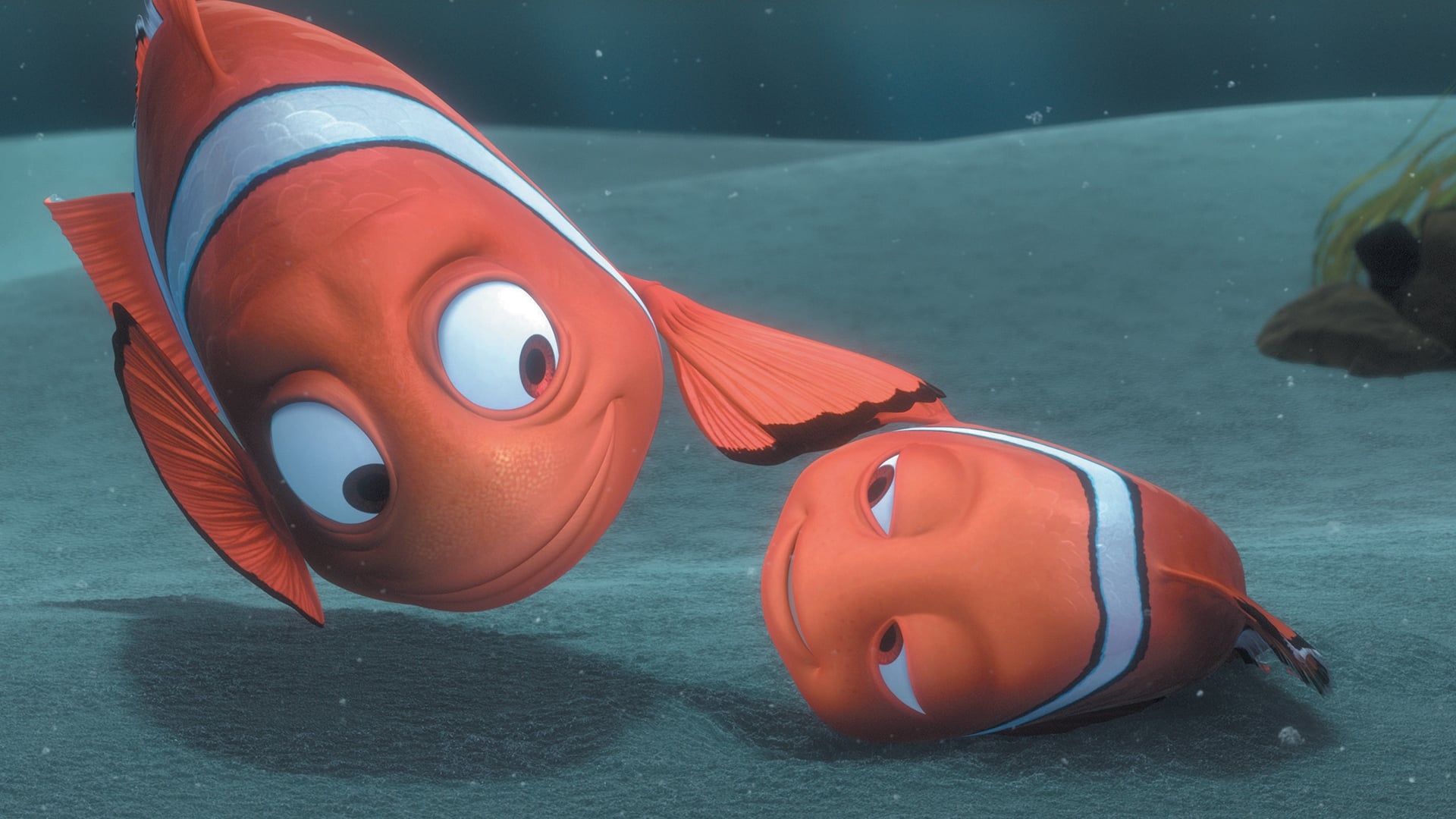 Image du film Le Monde de Nemo 2ndwyuqipmljnevnhhwbb9r4y52jpg