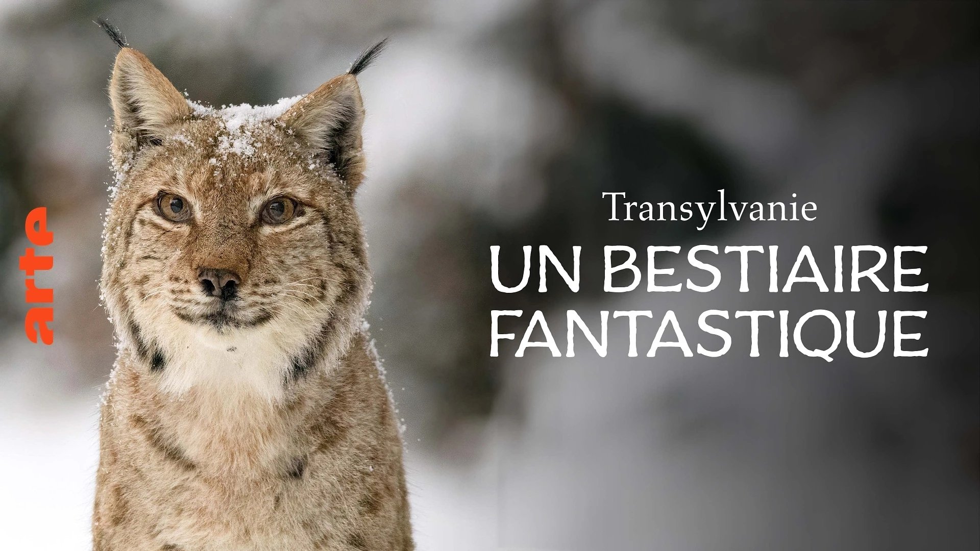 Wild Transylvania – Dracula's Hidden Kingdom (2024)