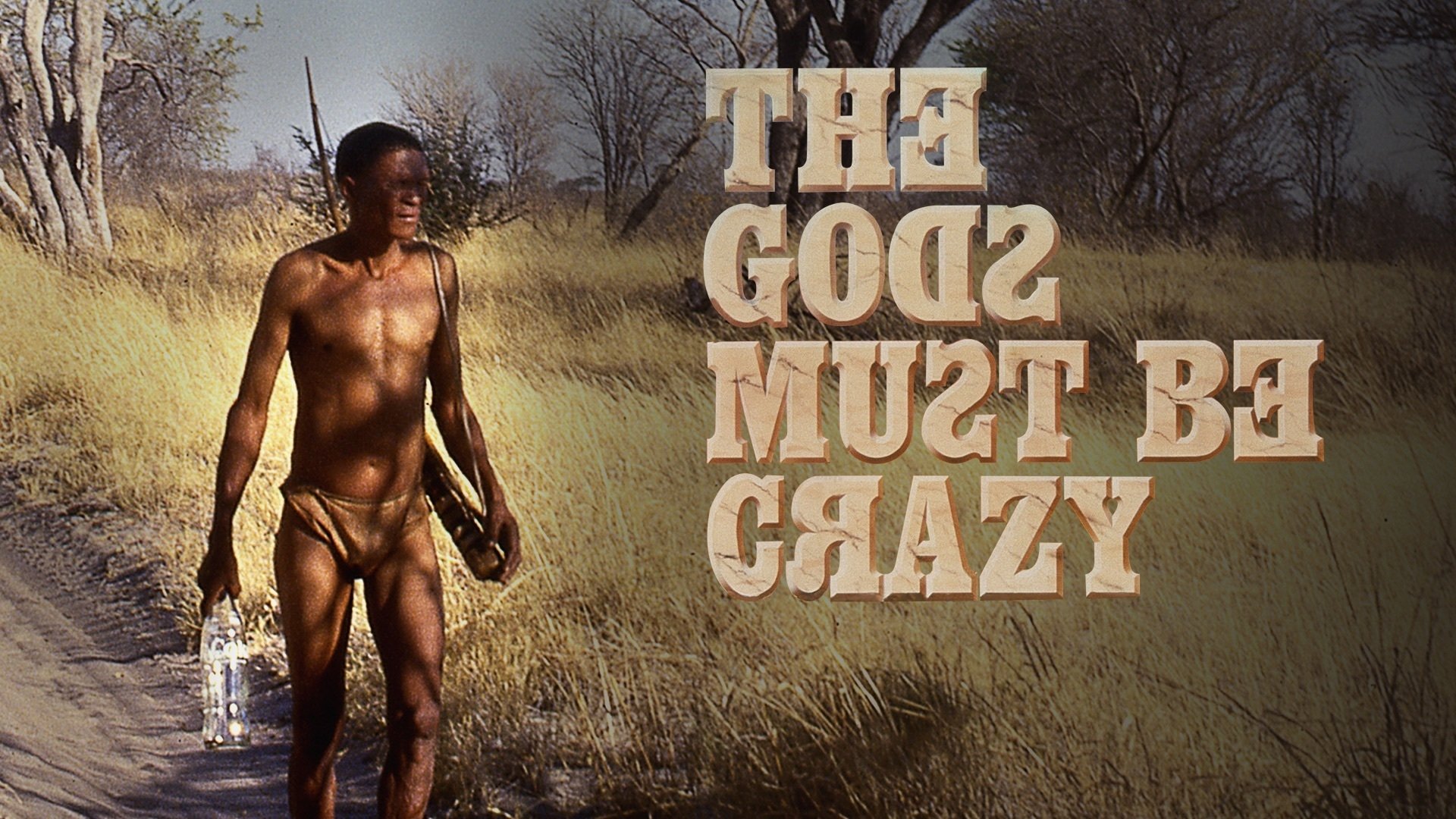 The Gods Must Be Crazy (1980)