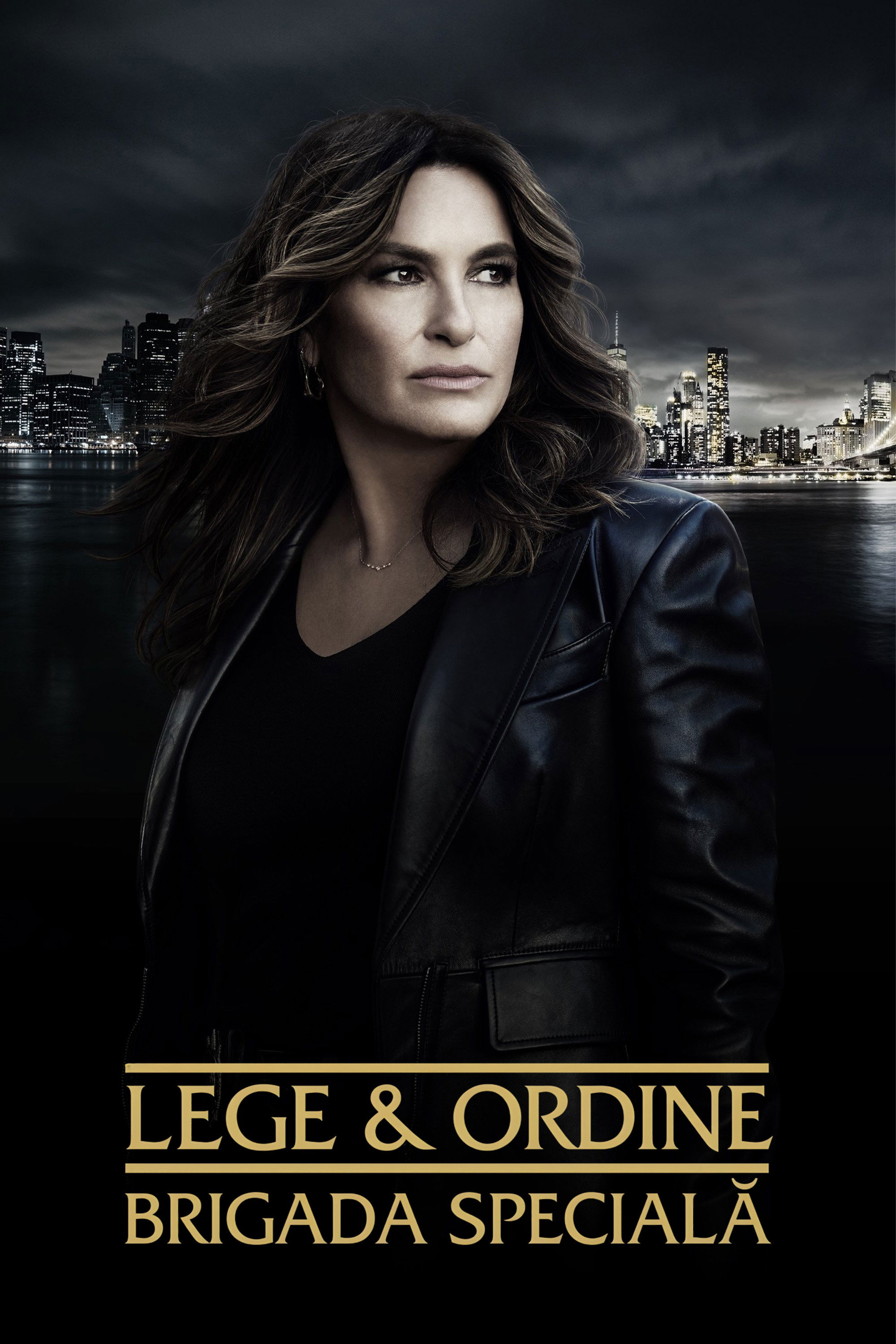 Lege și ordine: Brigada specială (1999)