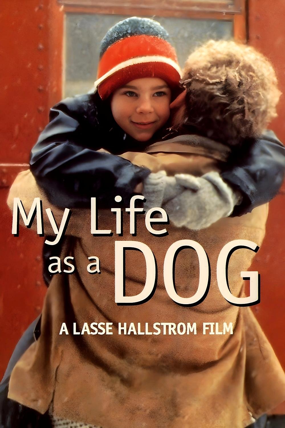My Life as a Dog