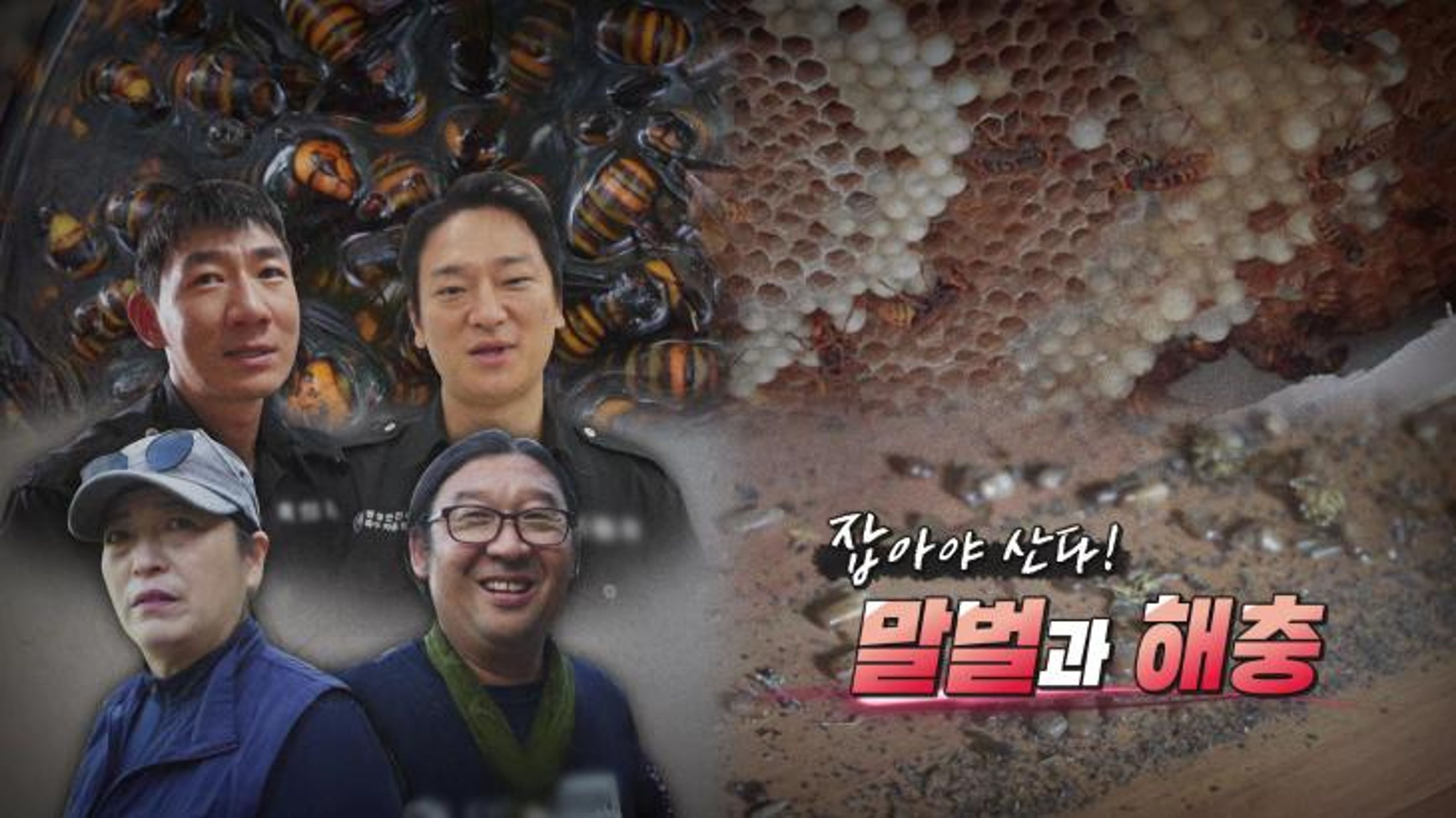 Episode 1197