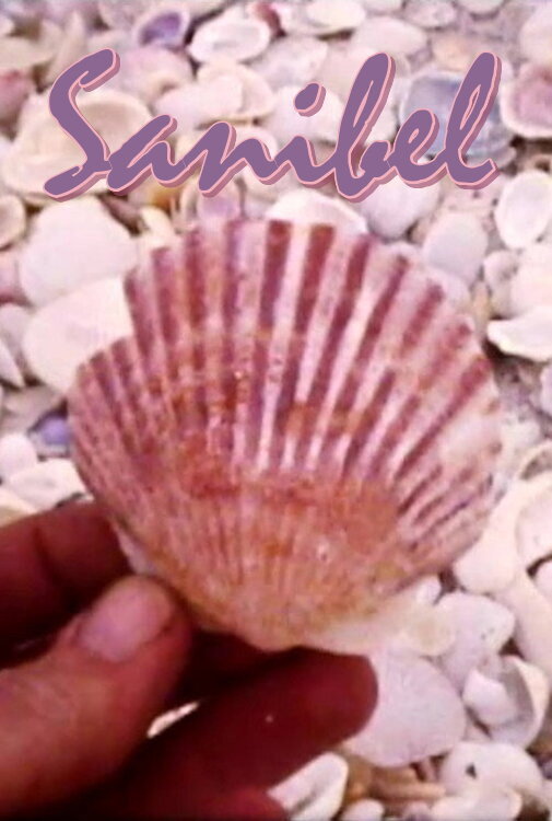 Sanibel Poster