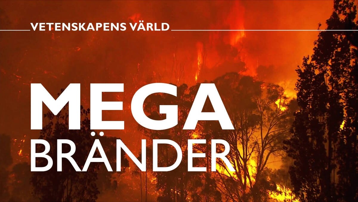 Vetenskapens värld