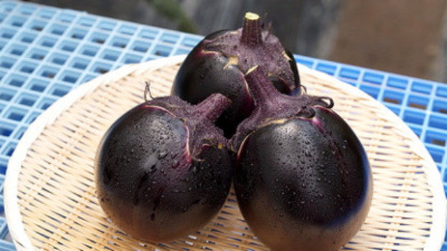 Trails to Tsukiji S02E16 backdrop