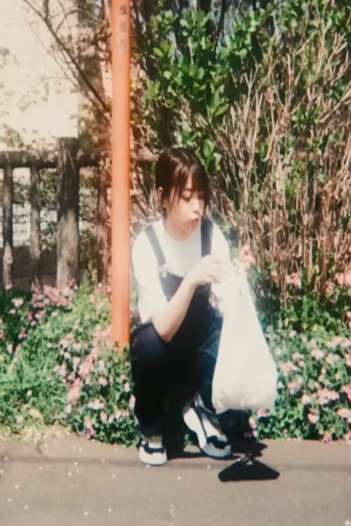 紫陽花 紫陽花