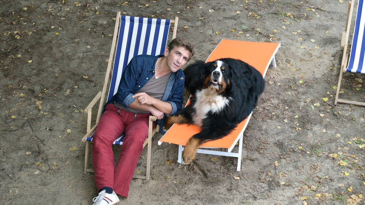 Löwenzahn Staffel 33 :Folge 14 