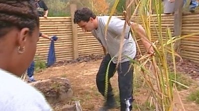 The Challenge Staffel 3 :Folge 4 