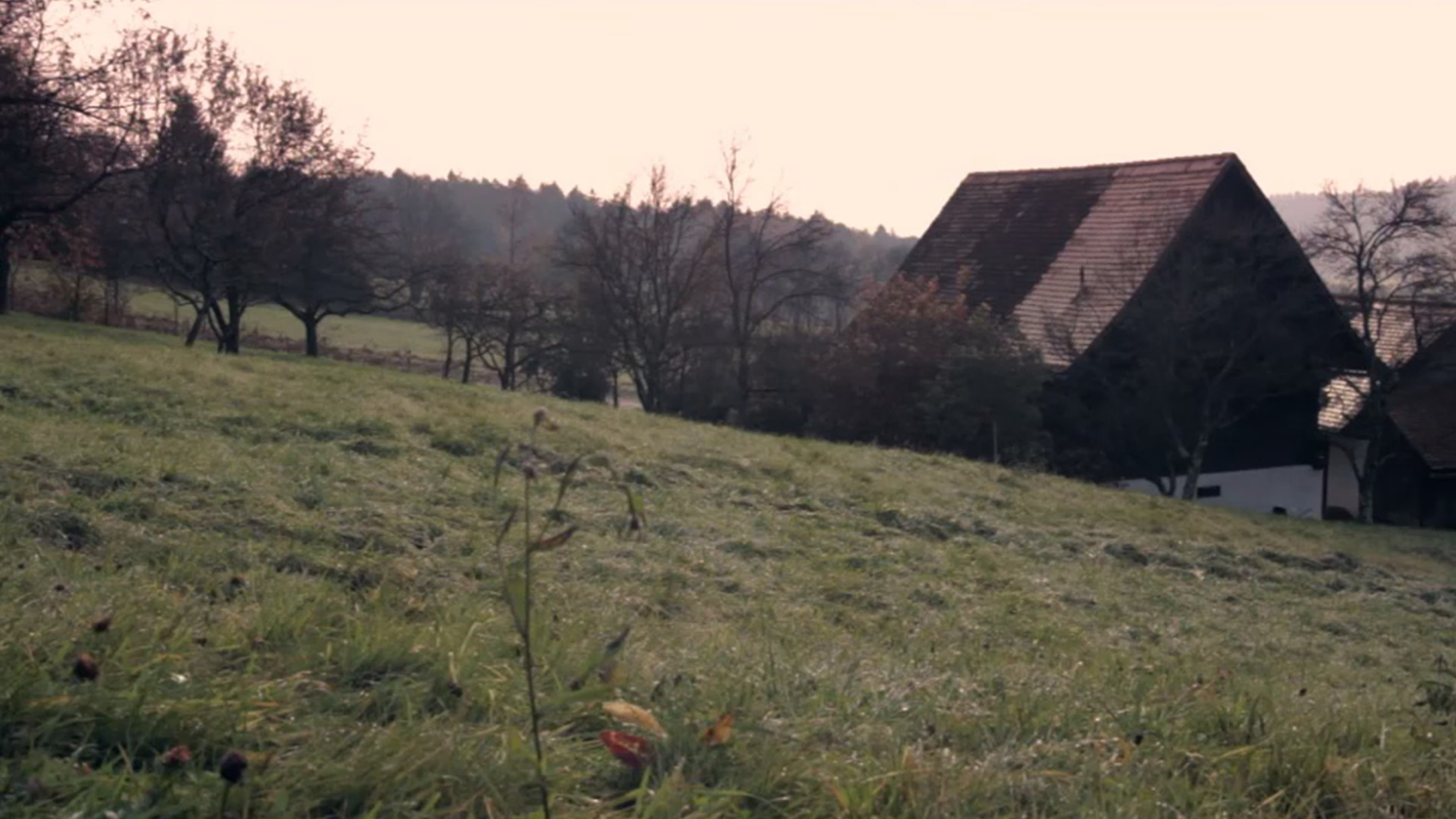 Strange Loop (2012)