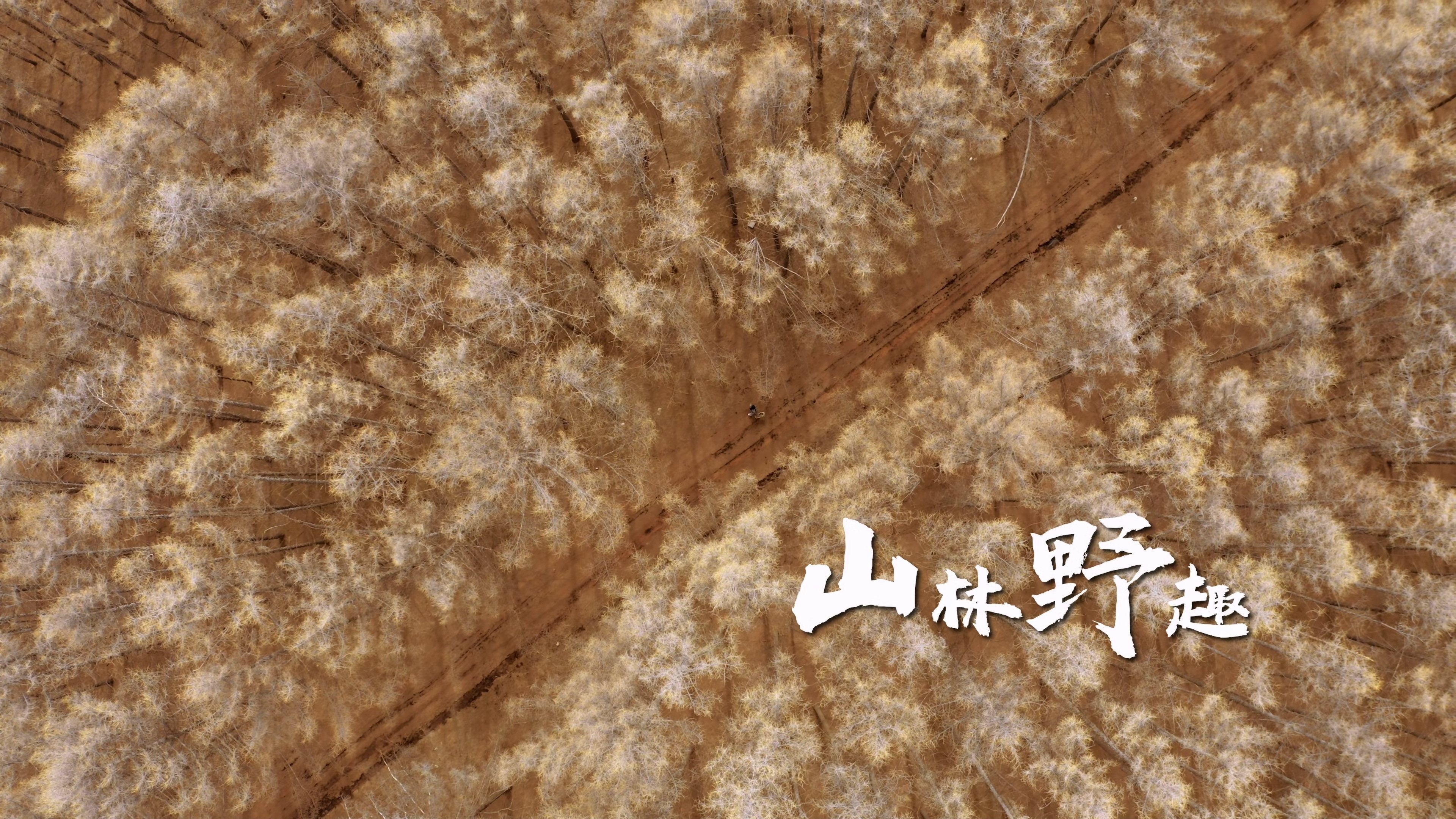 Thumbnail for Episode 1 Season 1 Episode 1