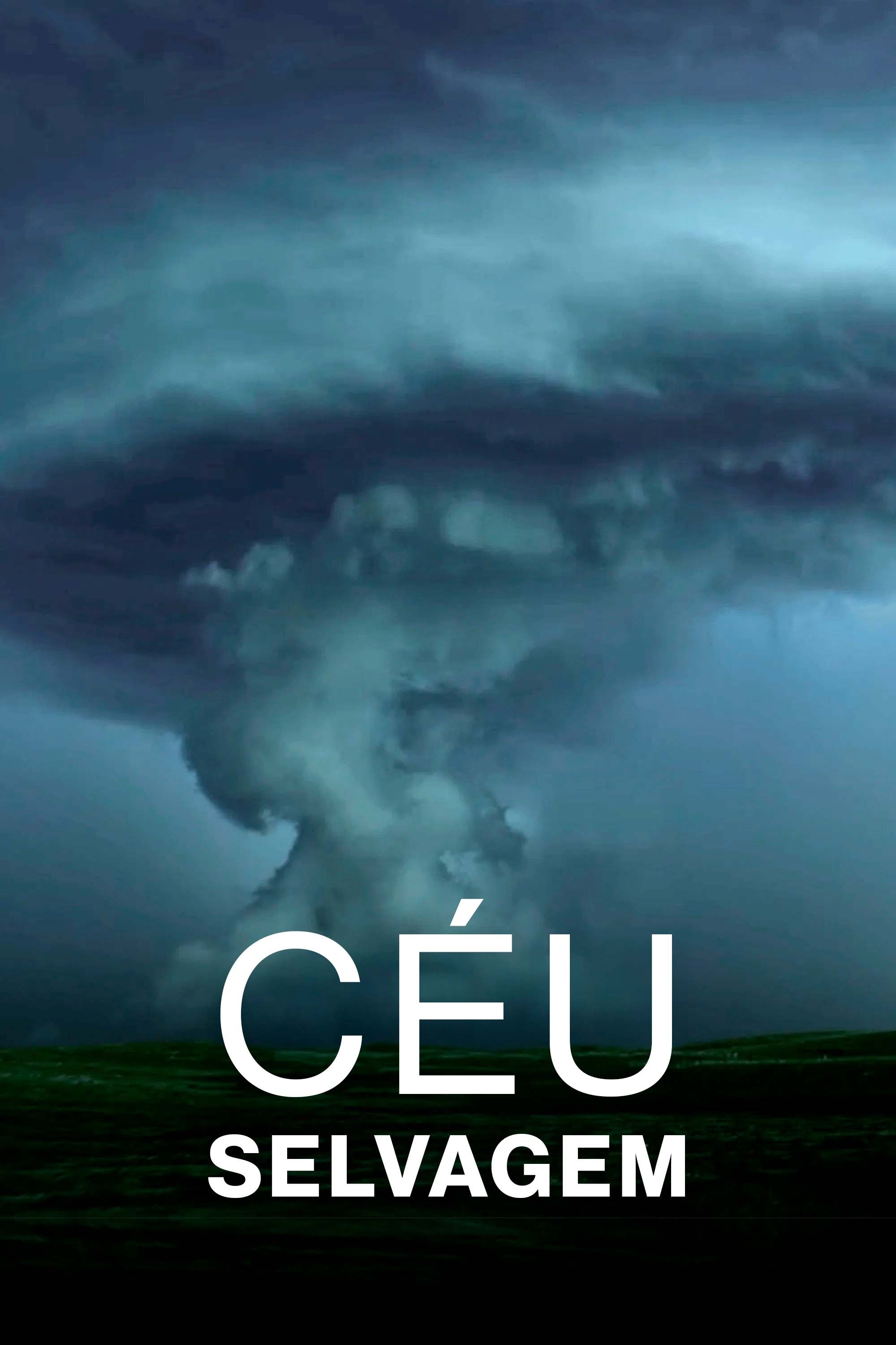 Céu Selvagem Céu Selvagem