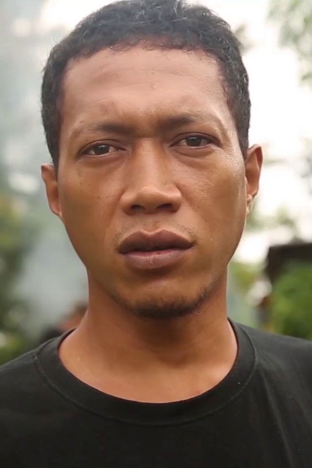 et billede af Romus Nanaia