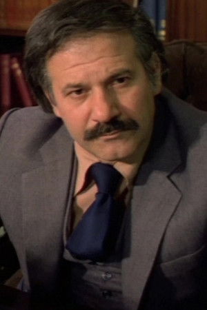 et billede af Timos Perlegas