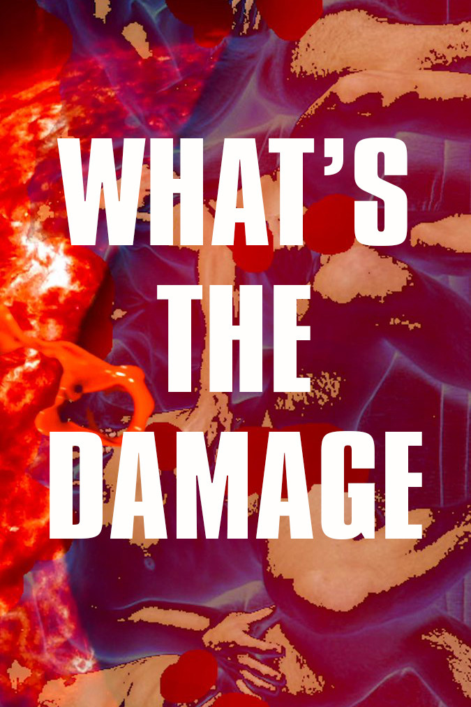 What's The Damage Poster