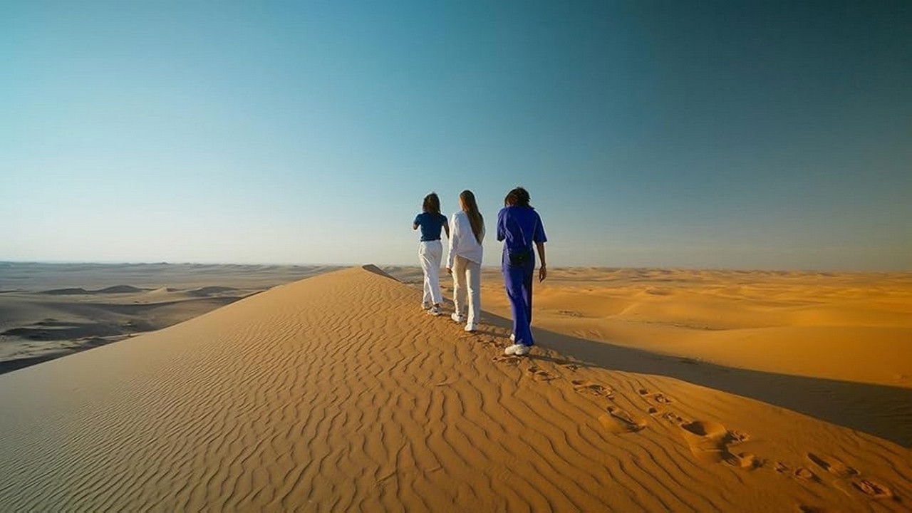 The Wanderer: Destinations Unknown