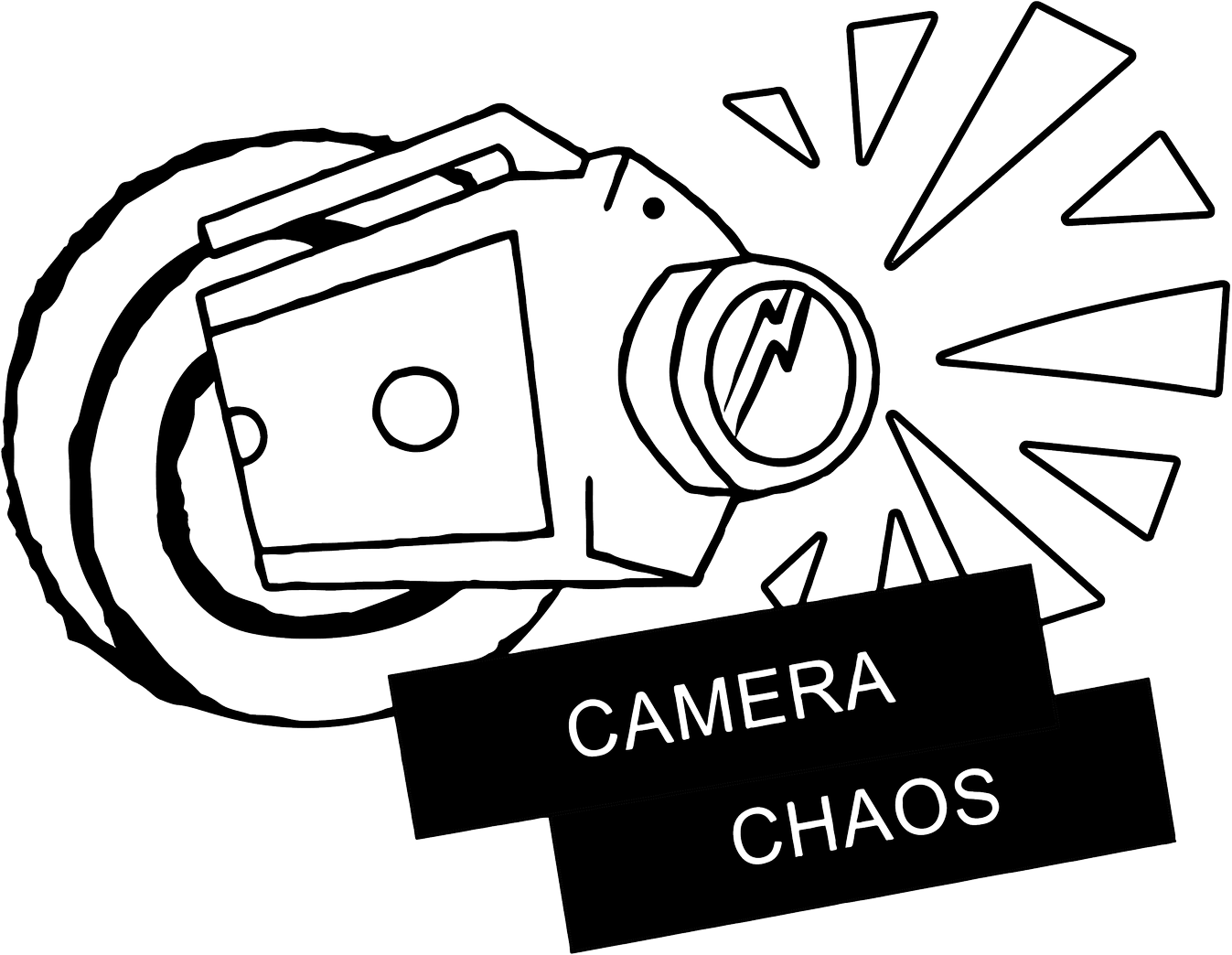 Camera Chaos