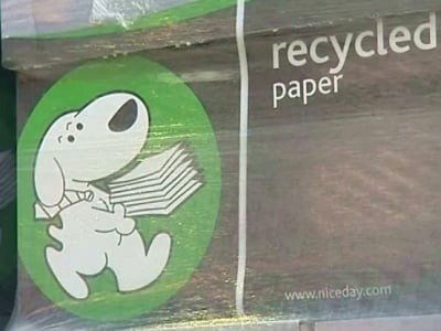 C'est pas sorcier - Le papier : il n'a pas toujours la fibre écologique