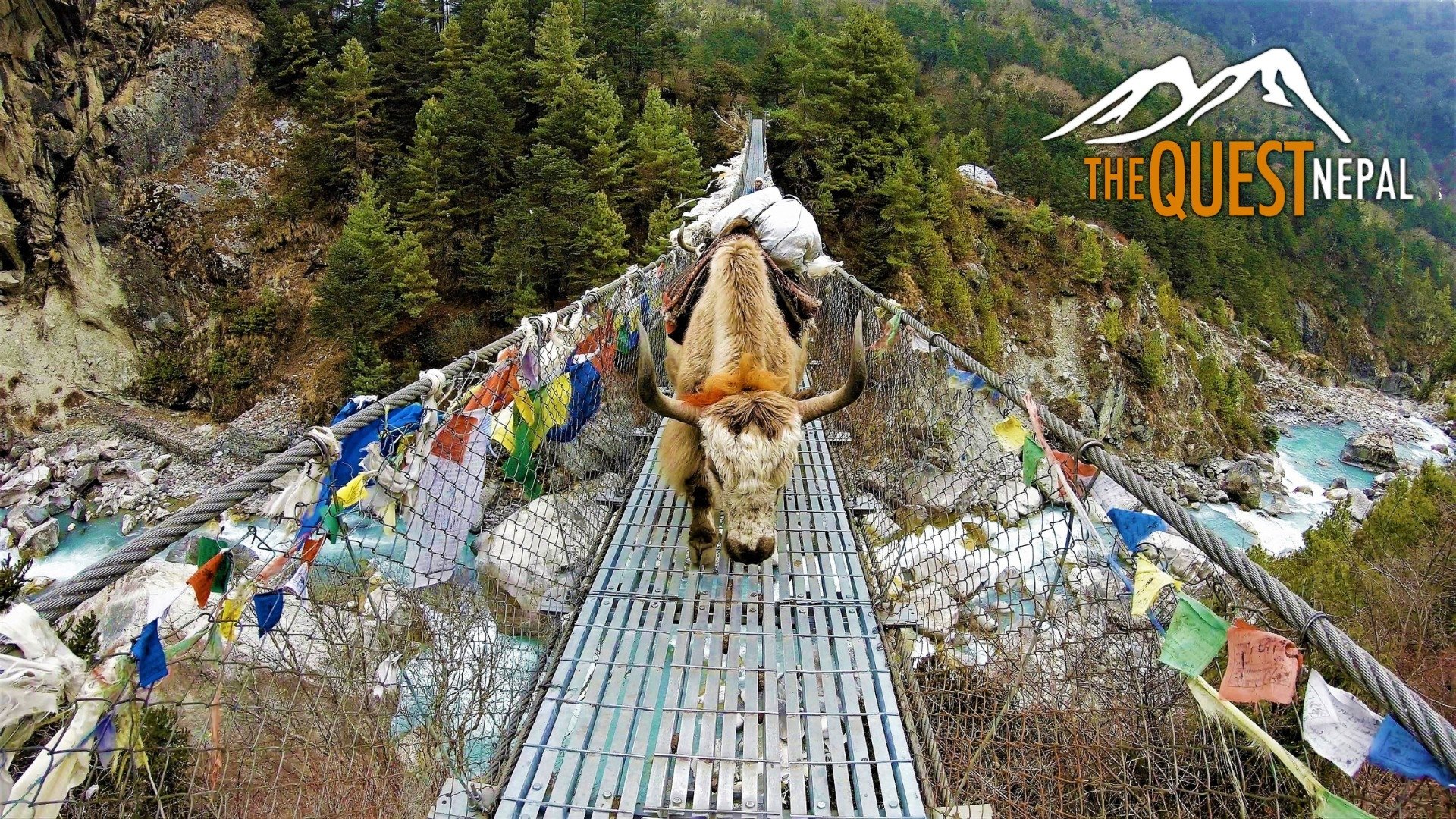 THE QUEST: Nepal (2022)